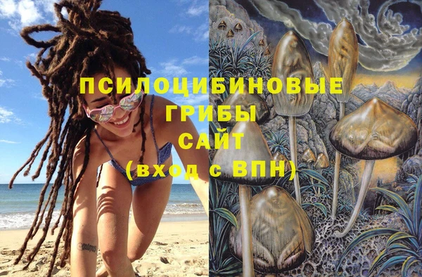 ГАЛЛЮЦИНОГЕННЫЕ ГРИБЫ Арсеньев