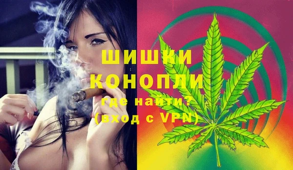 ГАЛЛЮЦИНОГЕННЫЕ ГРИБЫ Арсеньев