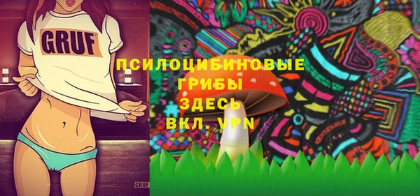 ГАЛЛЮЦИНОГЕННЫЕ ГРИБЫ Арсеньев