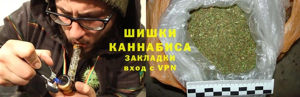 ГАЛЛЮЦИНОГЕННЫЕ ГРИБЫ Арсеньев