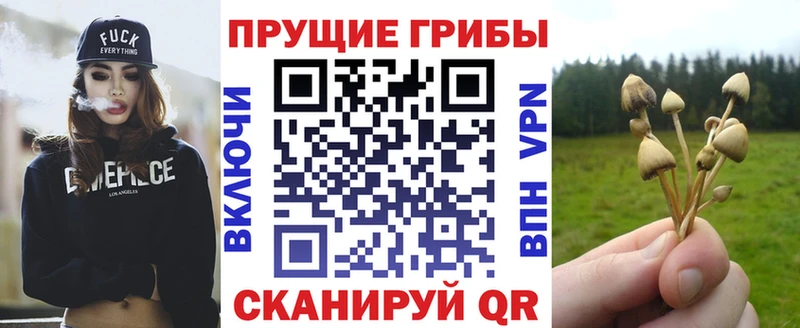 Галлюциногенные грибы Magic Shrooms  где найти   Салехард 